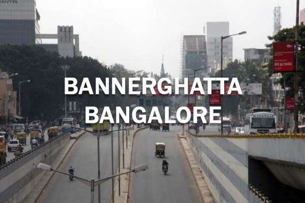 Bannerghatta Call Girl Service in Bangalore